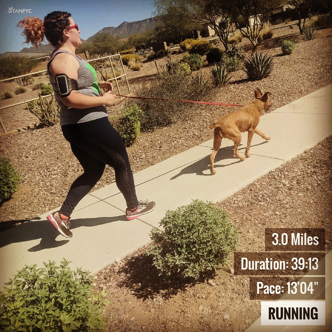 amandarunsaz's tweet photo. Hair flying and ears flopping getting ready for the @Run3rd5k! Come run with me March 30th! Use code AMBAK to save $5.
#run3rd #run3rd5k #run3rdambassador #5k #5ktraining #virtual5k #virtualrun #dogsrunning #run #running #runner https://t.co/Ju8HNSxUPj