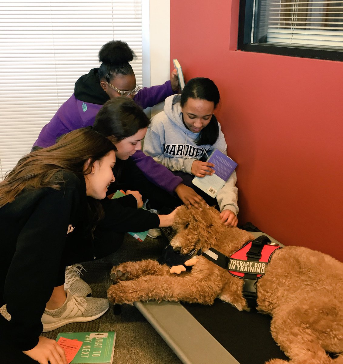 librarypageCMS's tweet photo. It’s a tough job but somebody’s got to do it! #clayton #goldendoodle #schooltherapydog #librarylife #cmslibrary https://t.co/8H6v9EXAs9