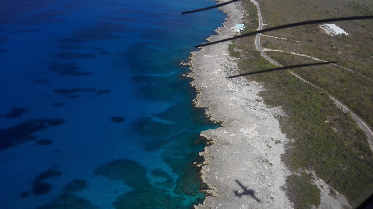 fdepa1's tweet photo. After 3 days of travelling, finally we are back on Little Cayman! Gotta track them all! #seabirds #ornithology #caymanislands @RhiAustin @CaymanSeabirds https://t.co/vmpvfyqCZY