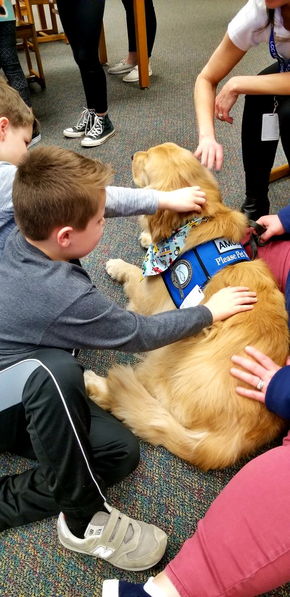 AUTsomeK2's tweet photo. We had the absolute pleasure of meeting Amos the #comfortdog today!!! So excited for future visits to Mill Run! 😊❤🐶 #mres19 https://t.co/GhfjFgDAT5