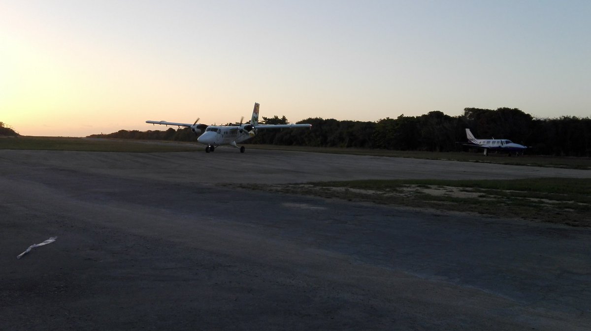 fdepa1's tweet photo. After 3 days of travelling, finally we are back on Little Cayman! Gotta track them all! #seabirds #ornithology #caymanislands @RhiAustin @CaymanSeabirds https://t.co/vmpvfyqCZY