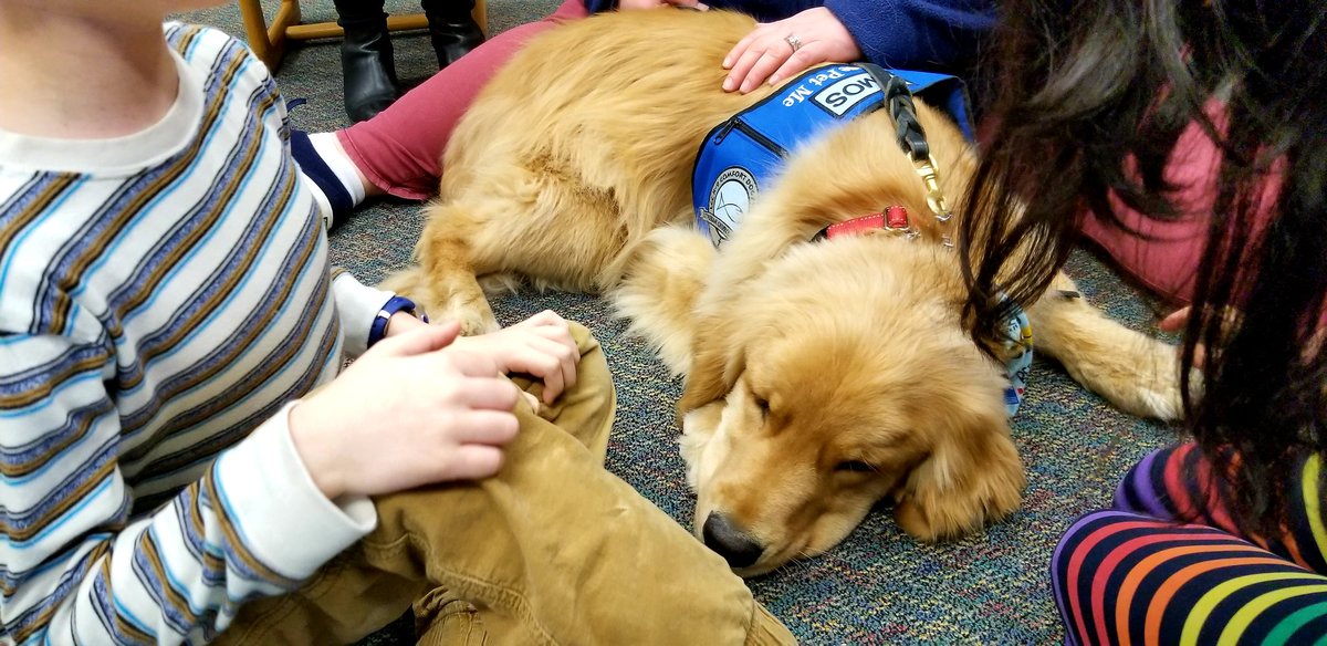 AUTsomeK2's tweet photo. We had the absolute pleasure of meeting Amos the #comfortdog today!!! So excited for future visits to Mill Run! 😊❤🐶 #mres19 https://t.co/GhfjFgDAT5