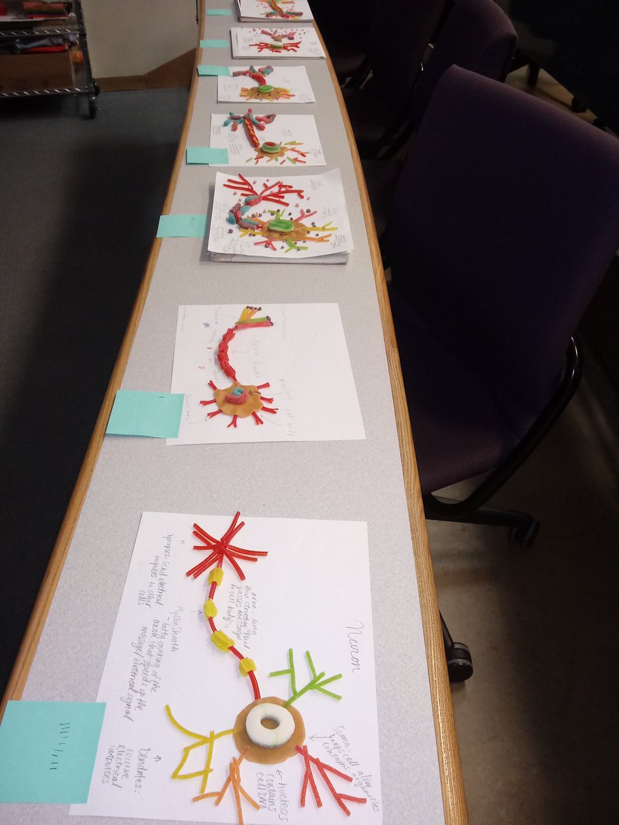 TrueTexan46's tweet photo. Psychology Class...the making of the NEURON! https://t.co/XnkH7tywci