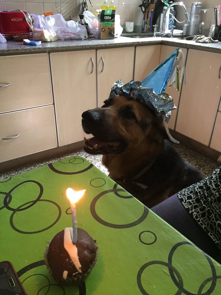 _cccaroline's tweet photo. 9 añitos 🥳❤️ https://t.co/ynSRFLvM4L