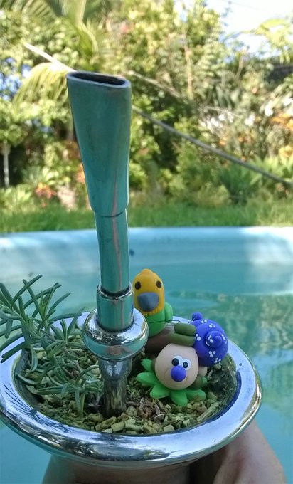 Curtindo meu feriad&atilde;o em casa,piscina,chimarr&atilde;o e sol. https://t.co/XtgN8OKHhF