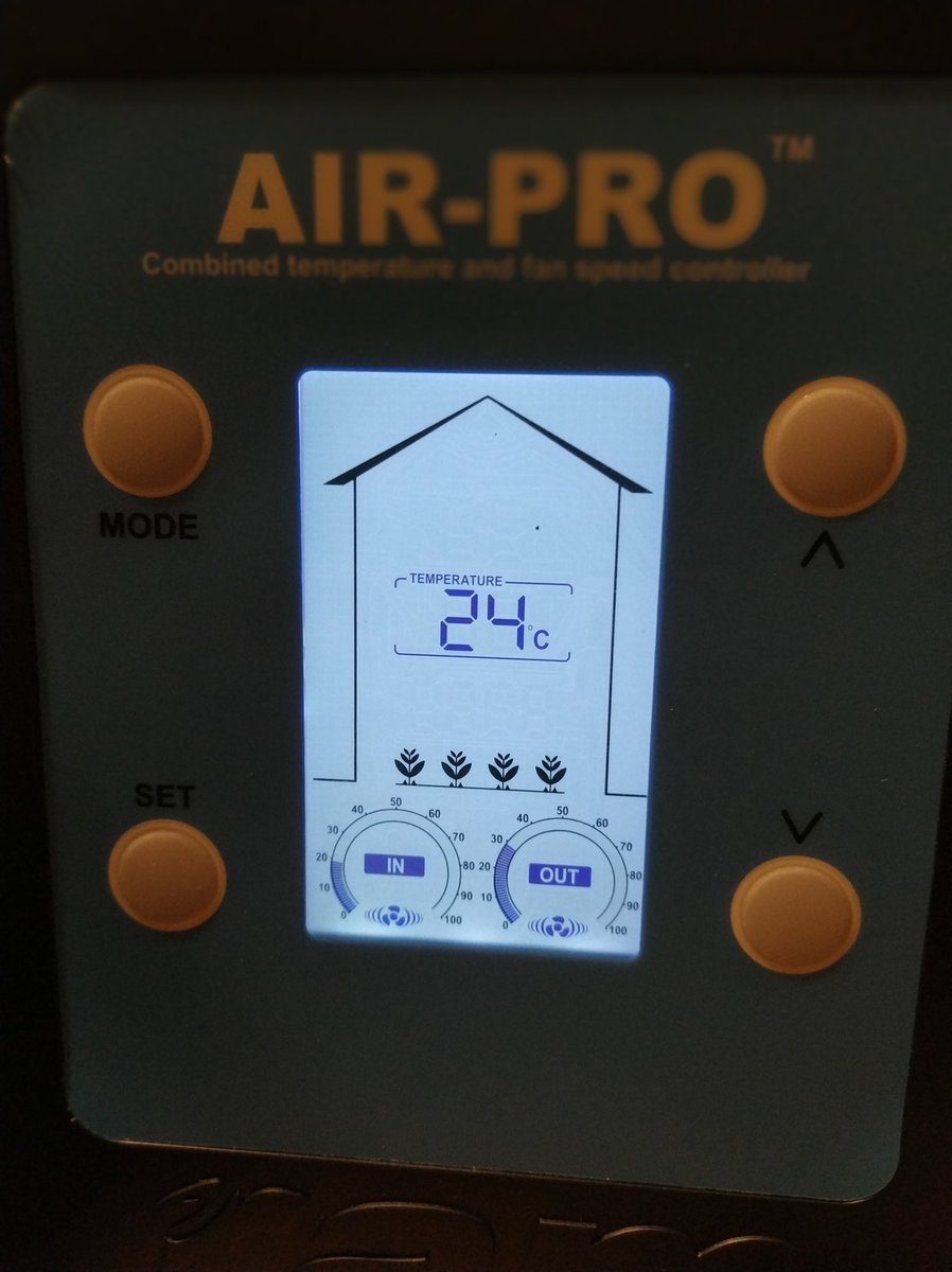 Green Test tweet media