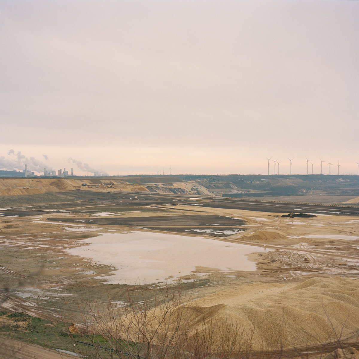 neospektiv_de's tweet photo. @_maxbrugger_ will be talking during the opening of "heading towards dystopia" on his work and the occupation of #hambi as a symptom of an insecurity about the #future. On Firday March 8, 18:00 at @neospektiv_de #Düsseldorf #photoweekend #HambacherForst  #photography #weekend https://t.co/CGN0hSEdzM