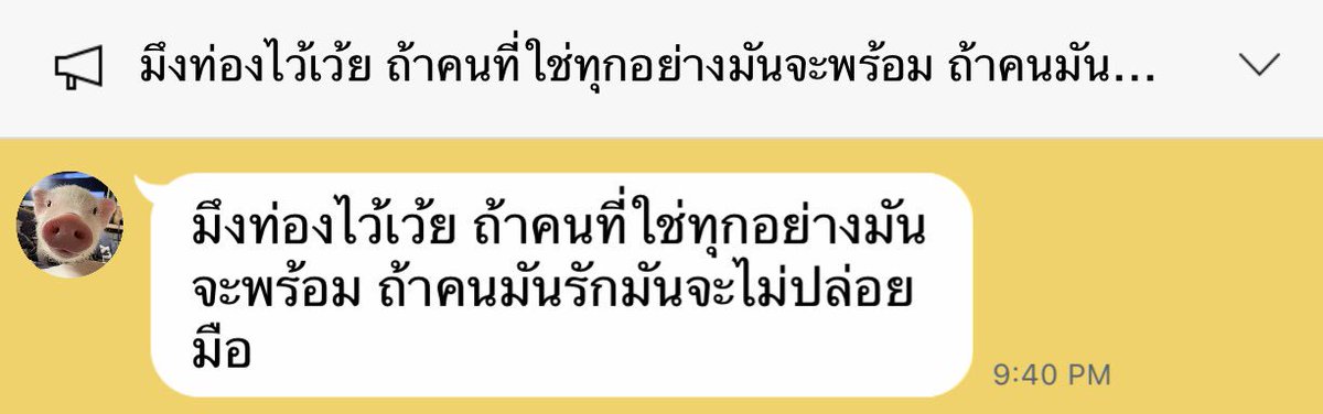 ✴︎ tweet media