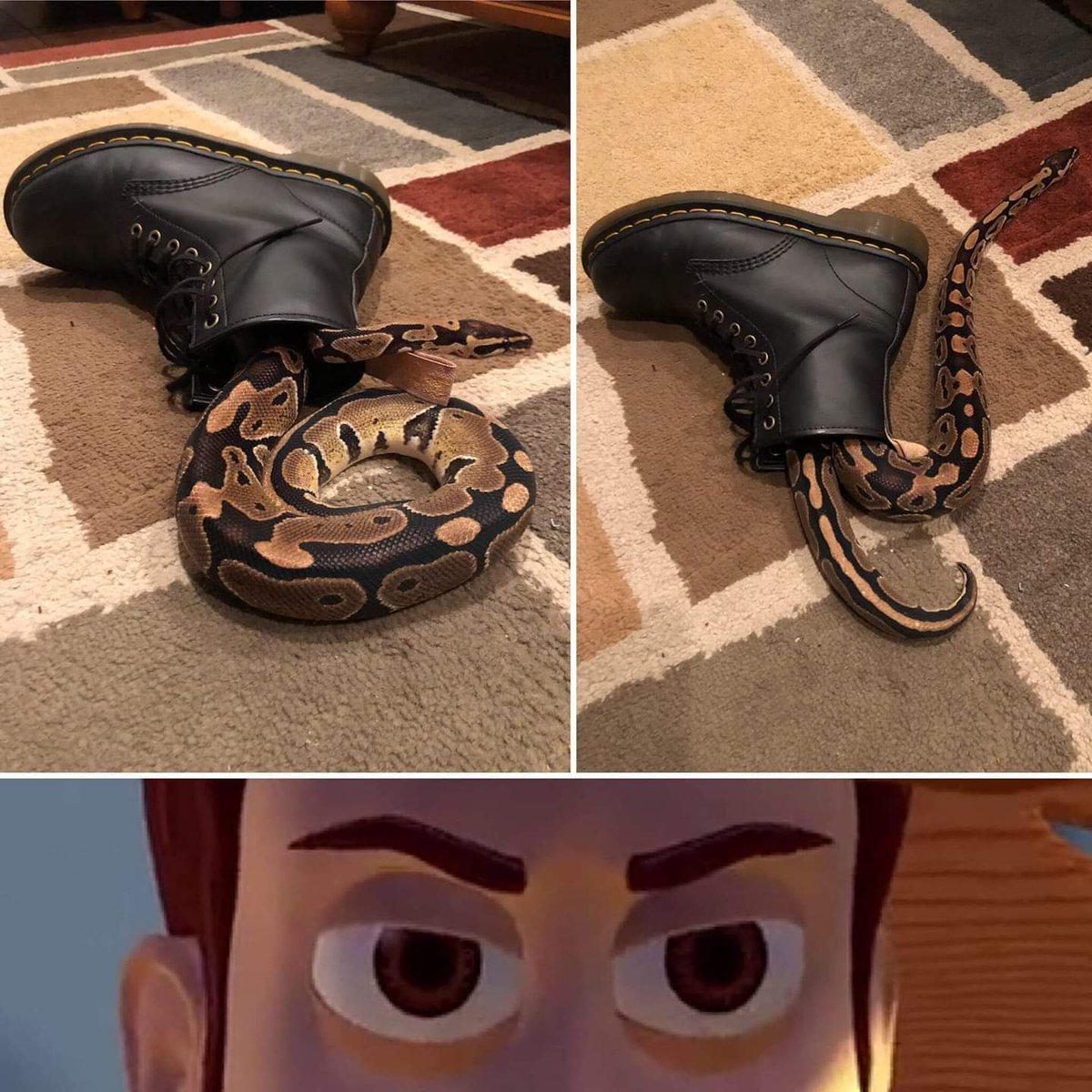 FalseDisney's tweet photo. You get it.
#falsedizfacts #falsedisney #disneyland #Disneyworld #toystory #woody #theresasnakeinmyboot #toystory4 https://t.co/wLshhuRC38
