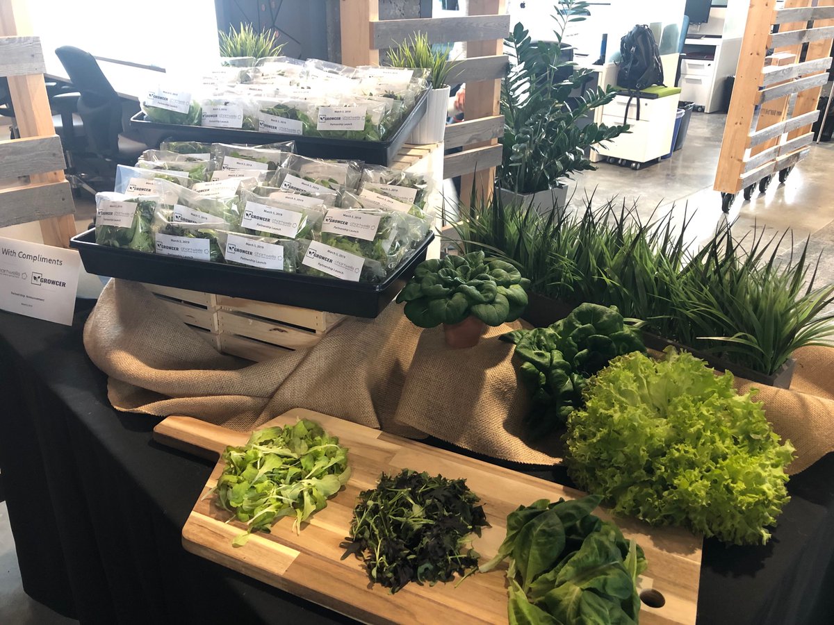 snapclarity's tweet image. You&apos;re guaranteed to have a great day when you start with a delicious smoothie! Thanks &amp;amp; Congratulations to @the_growcer and @ChartwellsCA on your partnership! It&apos;s inspiring to be surrounded by great companies in the #IOAccelerator accomplishing amazing things! @Invest_Ottawa