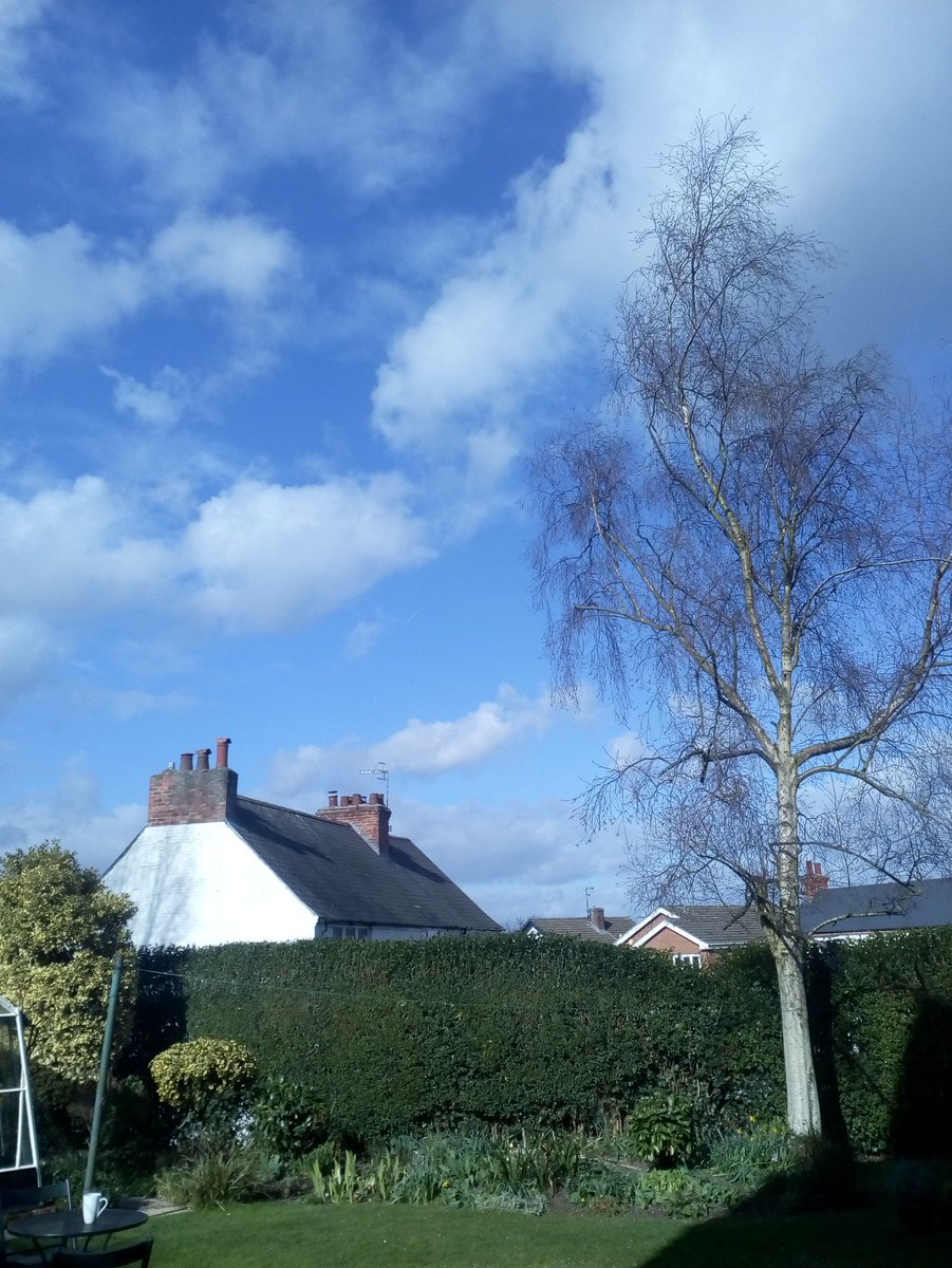 Tidy_Trees's tweet photo. Tree work today in #Woodthorpe for a new customer. #Nottingham #TidyTrees #NottinghamTreeSurgeon https://t.co/8IgT9bQTkP