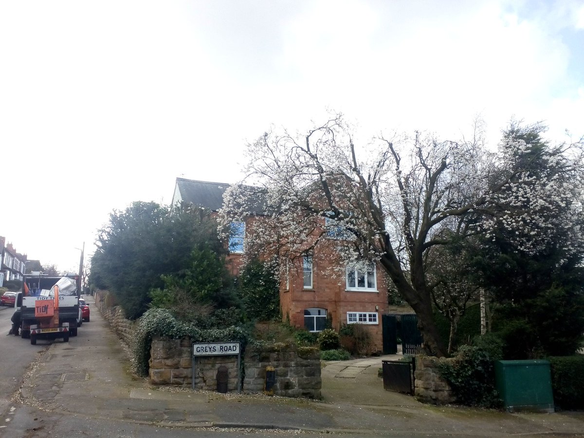 Tidy_Trees's tweet photo. Tree work today in #Woodthorpe for a new customer. #Nottingham #TidyTrees #NottinghamTreeSurgeon https://t.co/8IgT9bQTkP