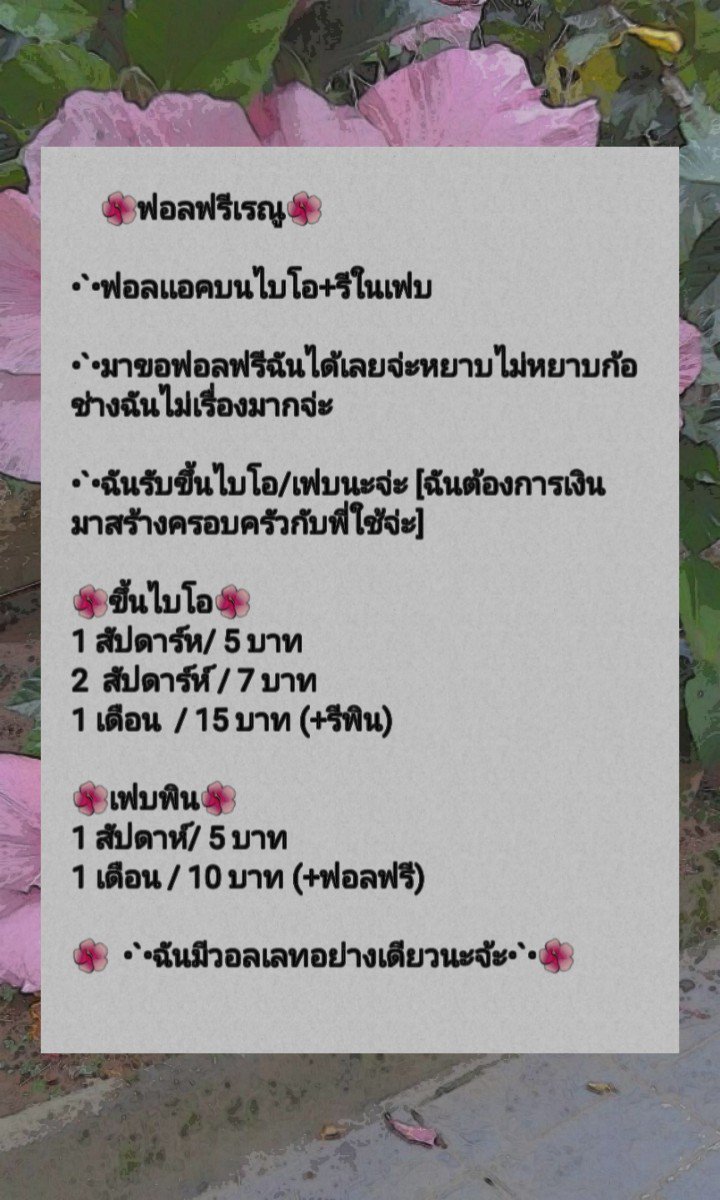ฟอลฟรีเรณู tweet media