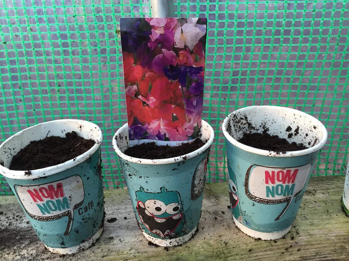 nomnomcafe_ie's tweet photo. So proud of our Nom Nom cups that are fully compostable and locally sourced in Cork @down2earthmaterials @giyireland
#compostable #nomnomcafe #corkcoffee
#ecofriendly #compostablecups #supportinglocal #sustainable #ecofriendlyproducts #cork #corkcoffee  #everylittlebithelps https://t.co/7EqMLYCUIY
