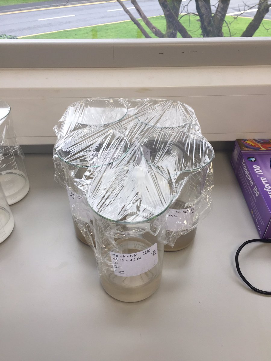 MagotLea's tweet photo. Lab training on grain size analysis for my master’s dissertation with @menudolio ! 🗺🔬📚🔎 @MorPalaeo @SeaShoreNUIG @GeogNUIG https://t.co/QZYQYztPdZ