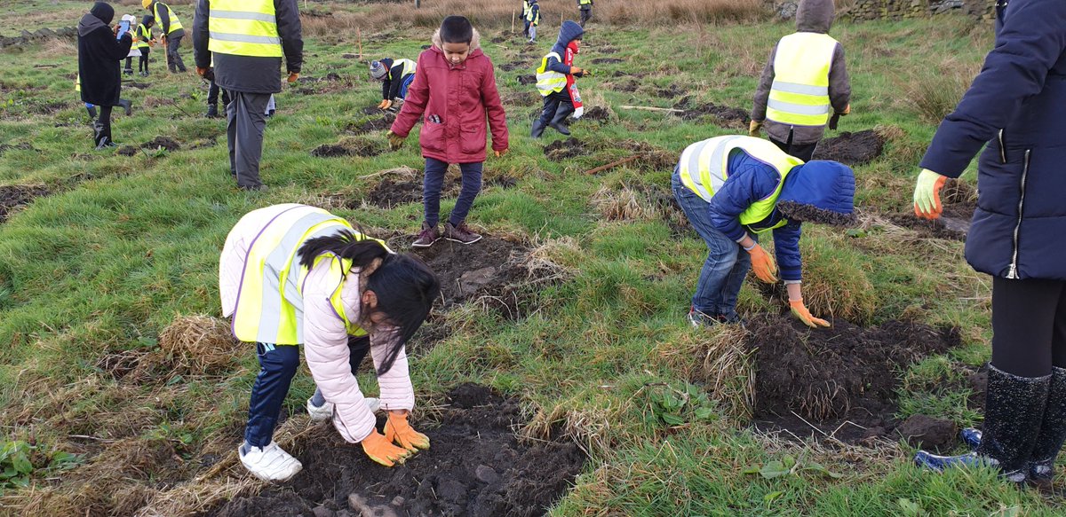 WTrustRuss's tweet photo. Great to have @olive_bolton with us yesterday for #smithillsplanting. The kids were brilliant at planting and alongside Brownlow Primary and Devonshire Road Primary smashed 200 saplings! #bolton #smithills #smithillsplanting https://t.co/PA7AWreLPd