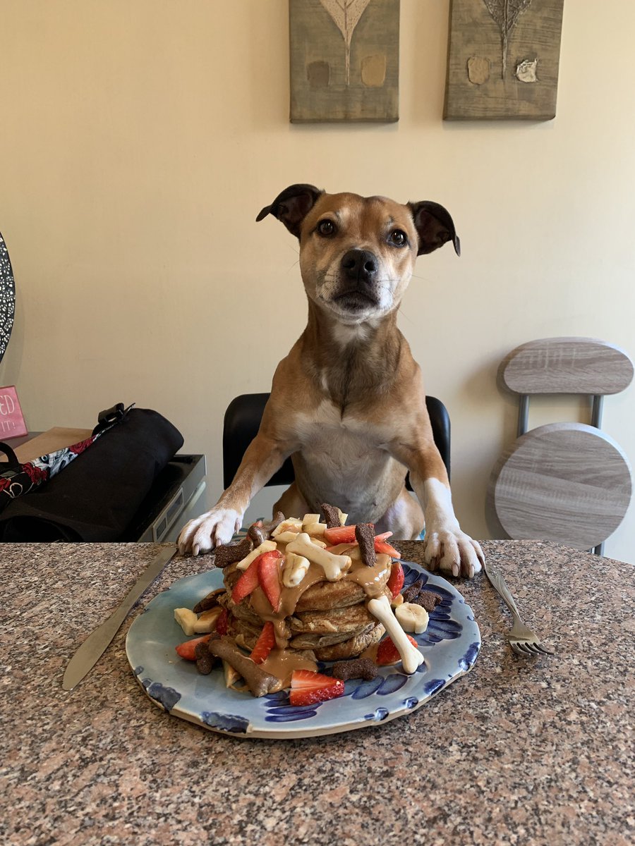 #crempog dog-friendly #pancakes