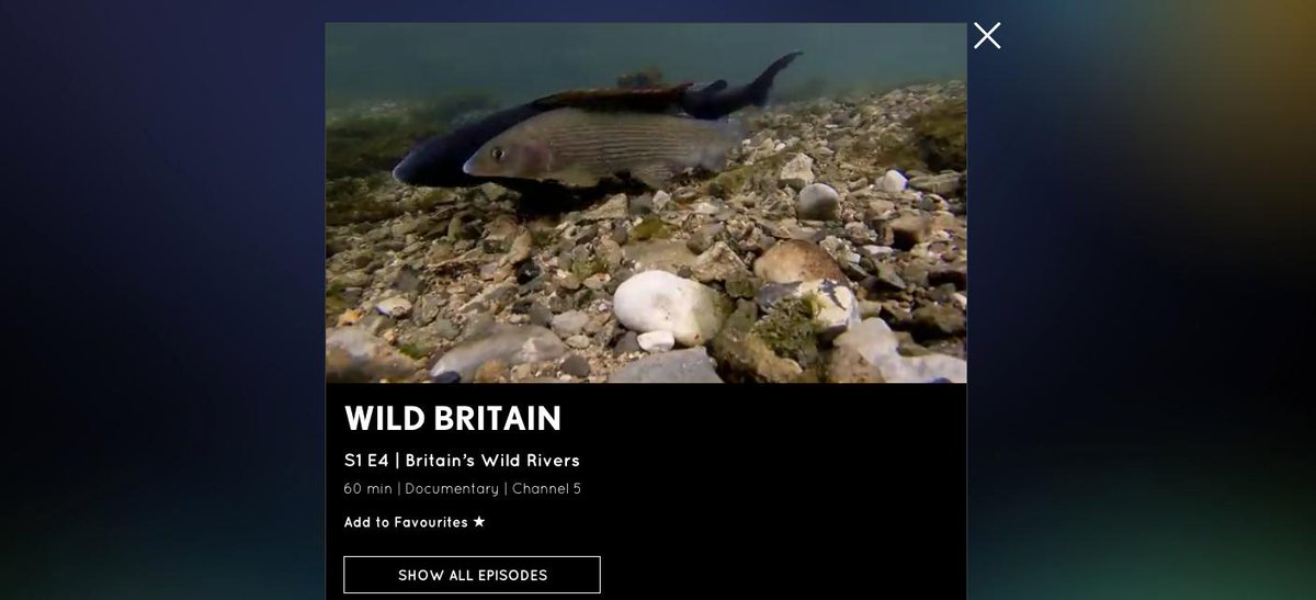 Tune into @channel5_tv tonight 7pm for Wild Britain: Our Wonderous Rivers where you can see plenty of my fish footage and some riverflies. Filmed for @PlimsollProds