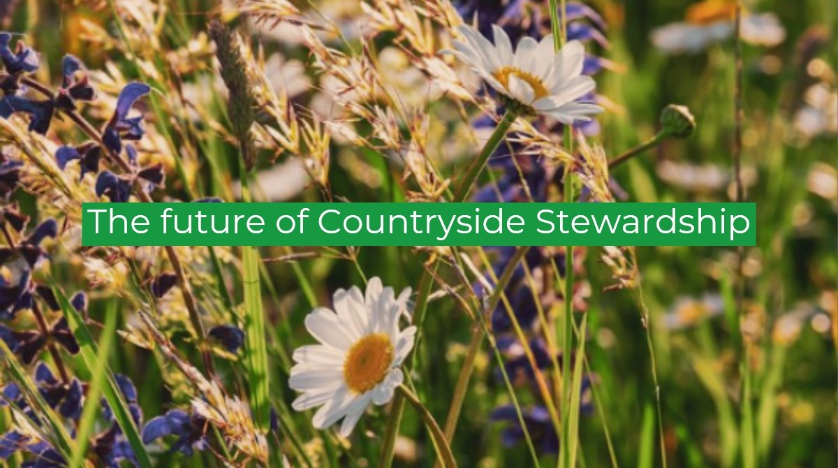 MouleandCo's tweet photo. The Countryside Stewardship window is open for applications with four new online offers available.  Anna from Moule &amp; Co discusses the options on the table today and what is install for future environmental schemes. 
Click here to read more: https://t.co/tO2hKrBaGH
#environment https://t.co/O65uBaIlID