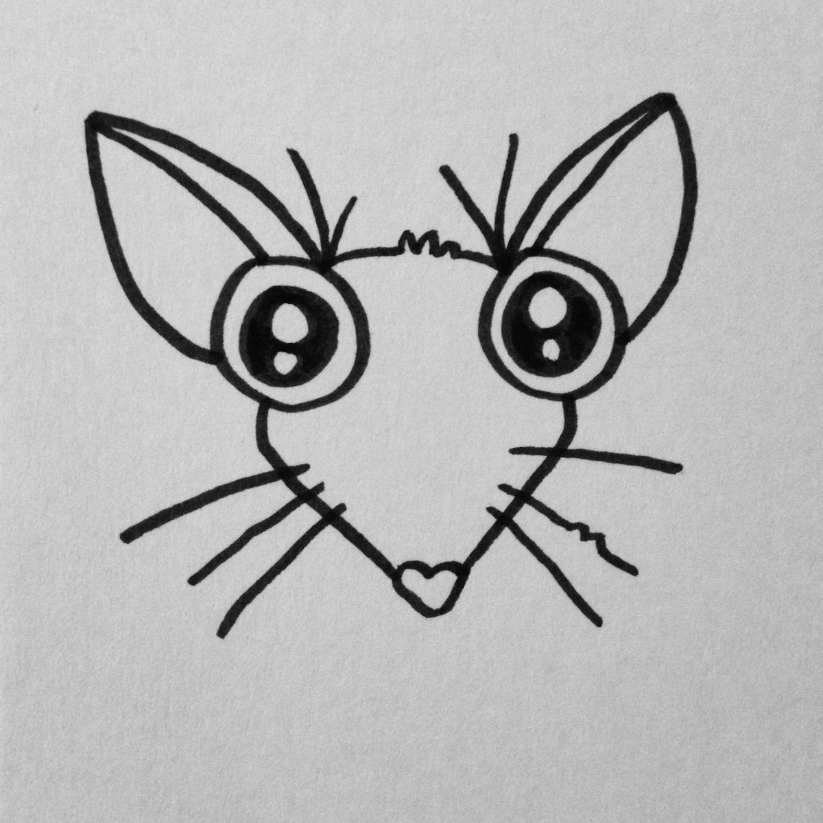 ByKatieGilstrap's tweet photo. Alana Opossum is mild and meek.
Her body is strong, but her courage is weak.
She roams through the woods on her little, pink feet
with hopes that she'll find something scrumptious to eat.

#PBPeeps #AmWriting #KidLit #KidLitArt #PictureBook #STEM #AlanaOpossum https://t.co/SxmUvqvNG9