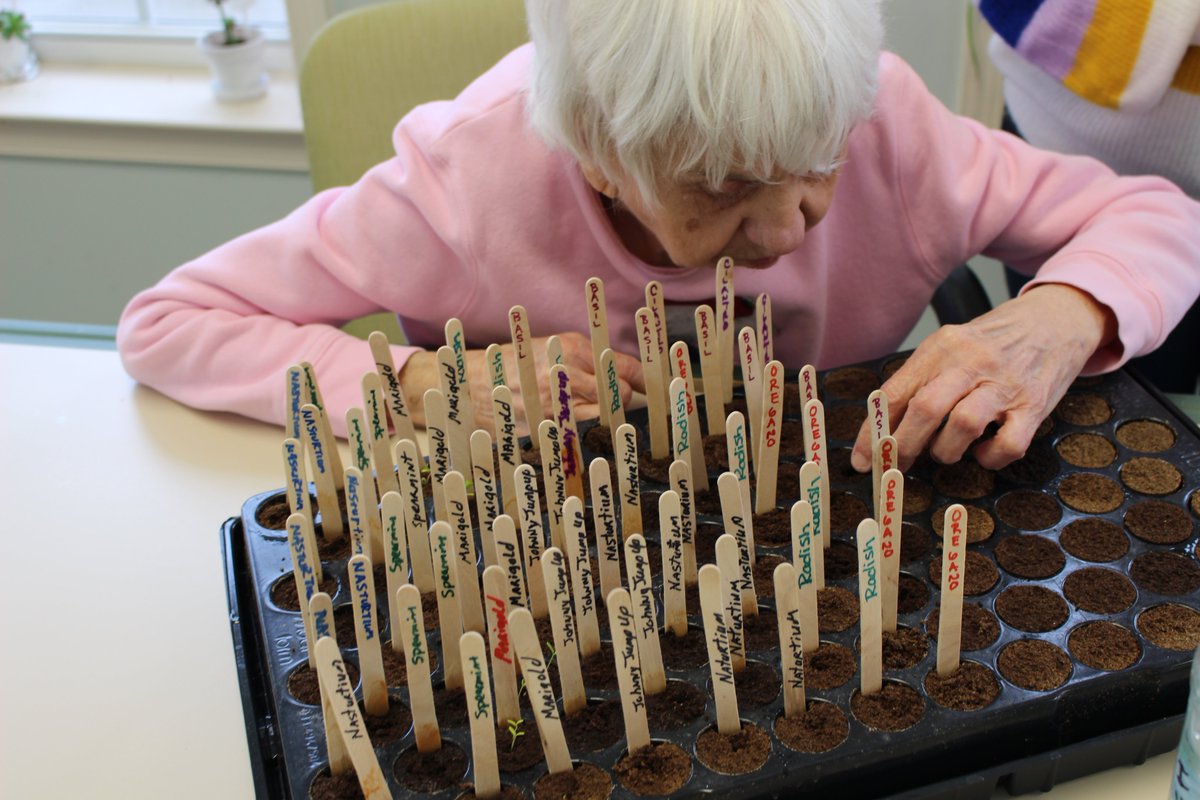 CircleCenterADS's tweet photo. Thank you to The Master Gardeners, who are helping our Gardening Group get ready for Spring! They donated a gift card and helped us to shop for seed starter kits and seed packets that our Gardening Group has been planting. We should be in full bloom soon! https://t.co/Z2FFM9i73p