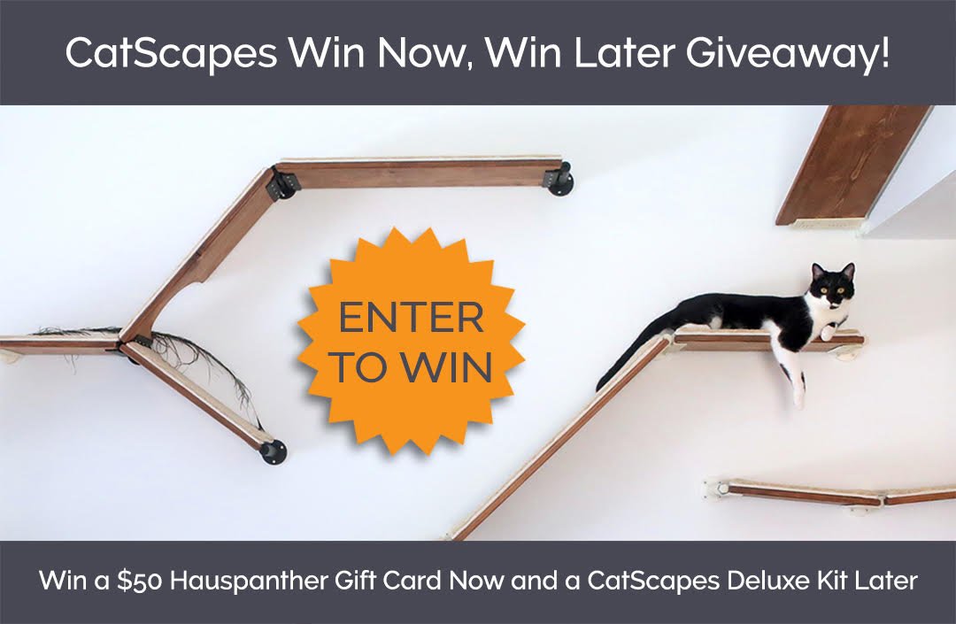 CustomCatscapes's tweet photo. @CustomCatscapes is giving away a Deluxe Cat Shelf Kit and a $50 gift card from @hauspanther! Don’t miss your chance to enter! https://t.co/aUfoKkrimP #cats #catshelves #catification #giveaway https://t.co/HgDMv6r0tA