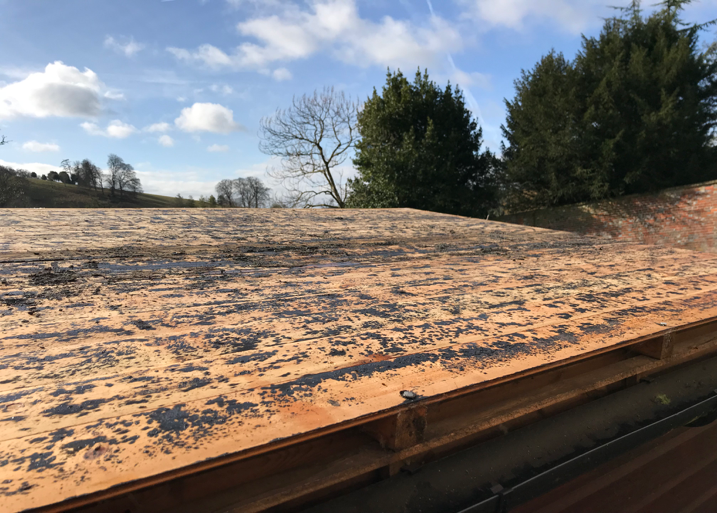 StonorPark's tweet photo. Winter is the time for doing repairs and upgrades. Recently we have been fixing the leaky shed roof while the weather is dry #stonor #garden #repairs #timetofix #sunisout #keepingdry #roofrepairs #manonaroof https://t.co/0OdPeTqj3f