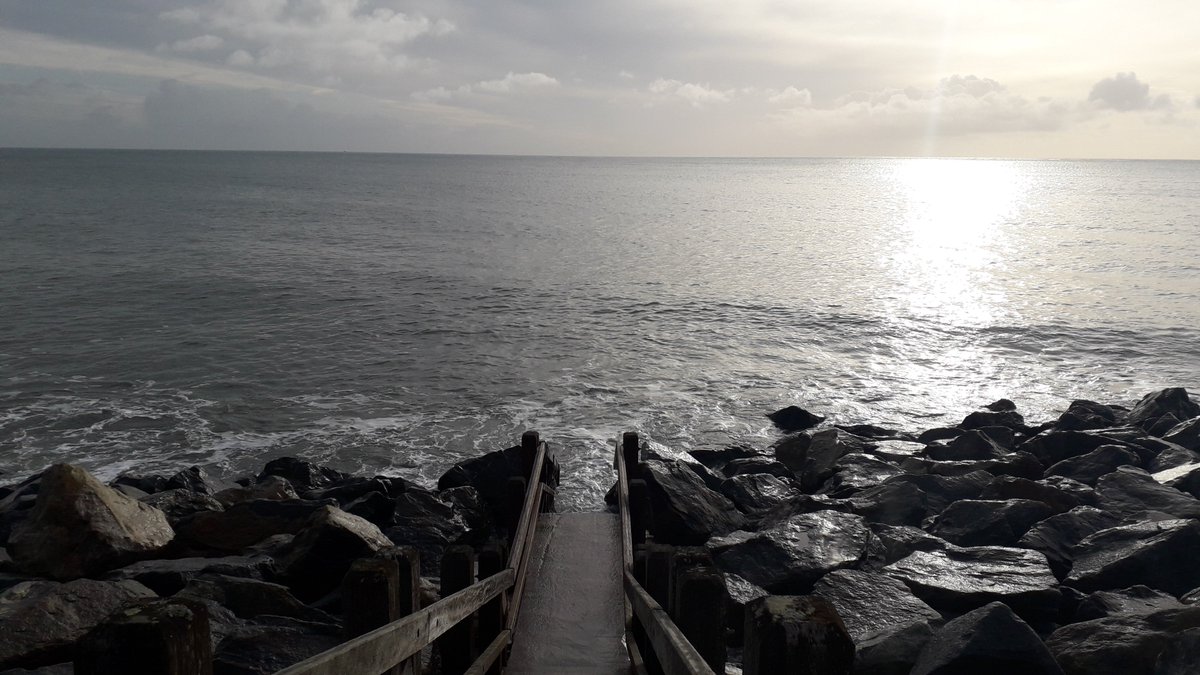 Go Toxic Free tweet media