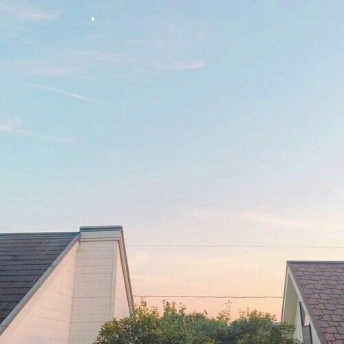 your cat your sky♡☁ tweet media