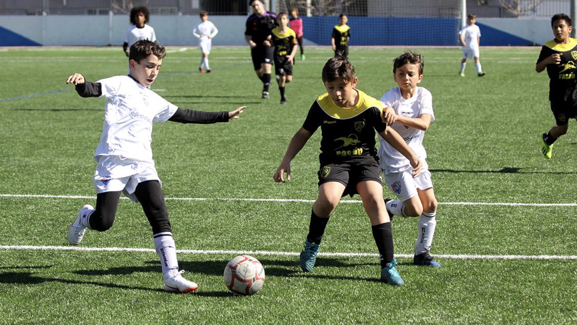 El Benjamín H ganó al <a href="/MadridCFF/">Madrid CFF</a> B 🖇 bit.ly/2TCQVRP