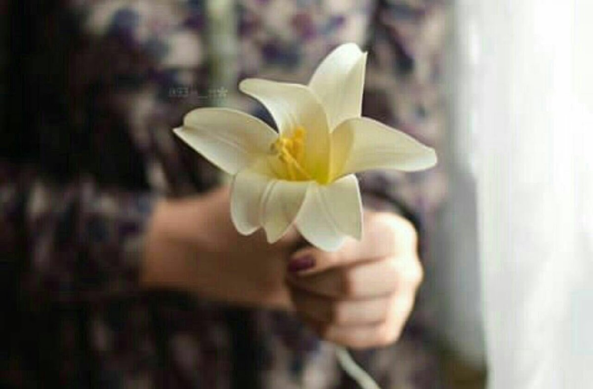 seees12341's tweet photo. ” اتمنى لي و لكم صُدفة جميلة في هذا اليوم تجعل الحياة تبدو كبُستانِ وردٍ في أعيُننا “. ♥️
يـسـعـد مسساءكم جميع بكل خير 💐🌹 https://t.co/fkgesn5Je2