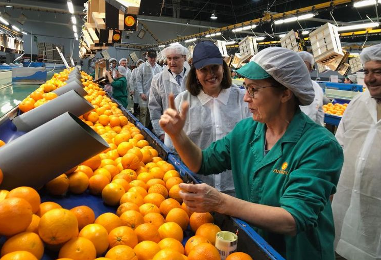 CuadernoAgrario's tweet photo. 🍊🍋 @CarmenCrespoPP  anuncia la concesión de ayudas por 6,4 millones para potenciar el #sectoragroindustrial de #Cordoba ¡Más información aquí! https://t.co/KnIMtvlJCF @AgriculturAnd #Sunaran https://t.co/G5cKyaXD9a