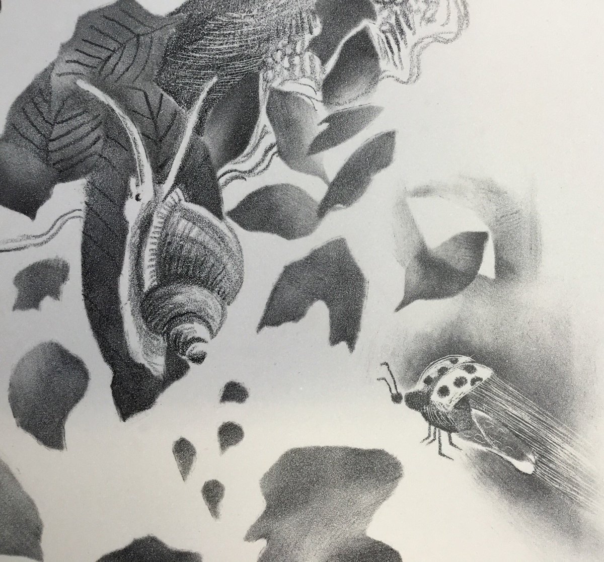 LNzitrone's tweet photo. Looking forward printing my #lithograph #stonelithography #printmaking #Mamdp #uwe https://t.co/OyvTubMl4J