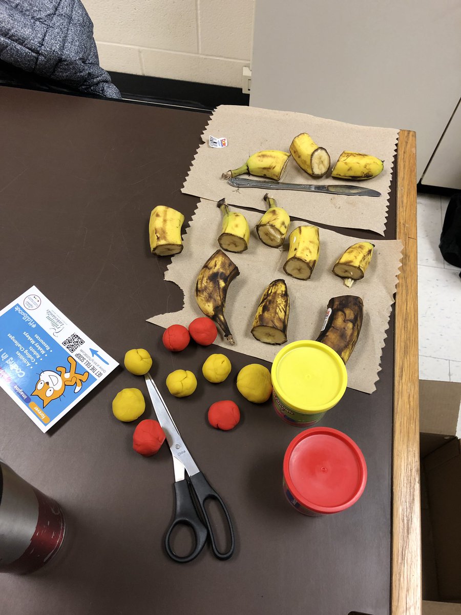 gkyfranzen's tweet image. So much fun working with these young ladies on coding with Makey Makey kits!! #tldsblearns #TLDSBcode