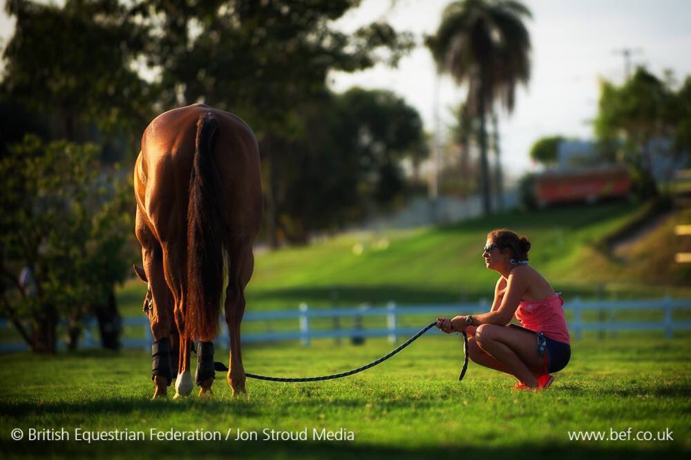 The bond between horse and groom is a very special one.
 
Starting an Apprenticeship is a fantastic step if your dream is to become a competition groom, it gives you the opportunity to gain hands on experience and knowledge in a competition environment.
<a href="/BritishGrooms/">British Grooms Assoc</a> 
#NAW2019