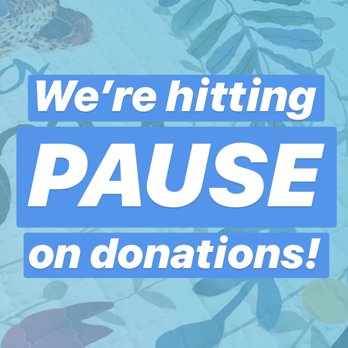 👉🏼 PAUSE 👈🏼 We were very reluctant to post this, but we have been overwhelmed with the boundless generosity of donors! This is a very nice problem to have, and we can’t thank you all enough. Please hold onto your donations until next week and we’ll have made some room for them ❤️