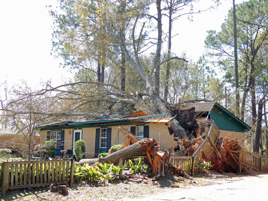 WorldRenew_DRS's tweet photo. At least 23 dead in Alabama after tornadoes ravage the southeast, causing 'catastrophic' damage on Sunday. Lord we pray for safety, shelter, and comfort for all affected by this disaster. We pray for those working to rebuild, and for all the supplies needed to respond. #Pray https://t.co/9PHoDYhmJm