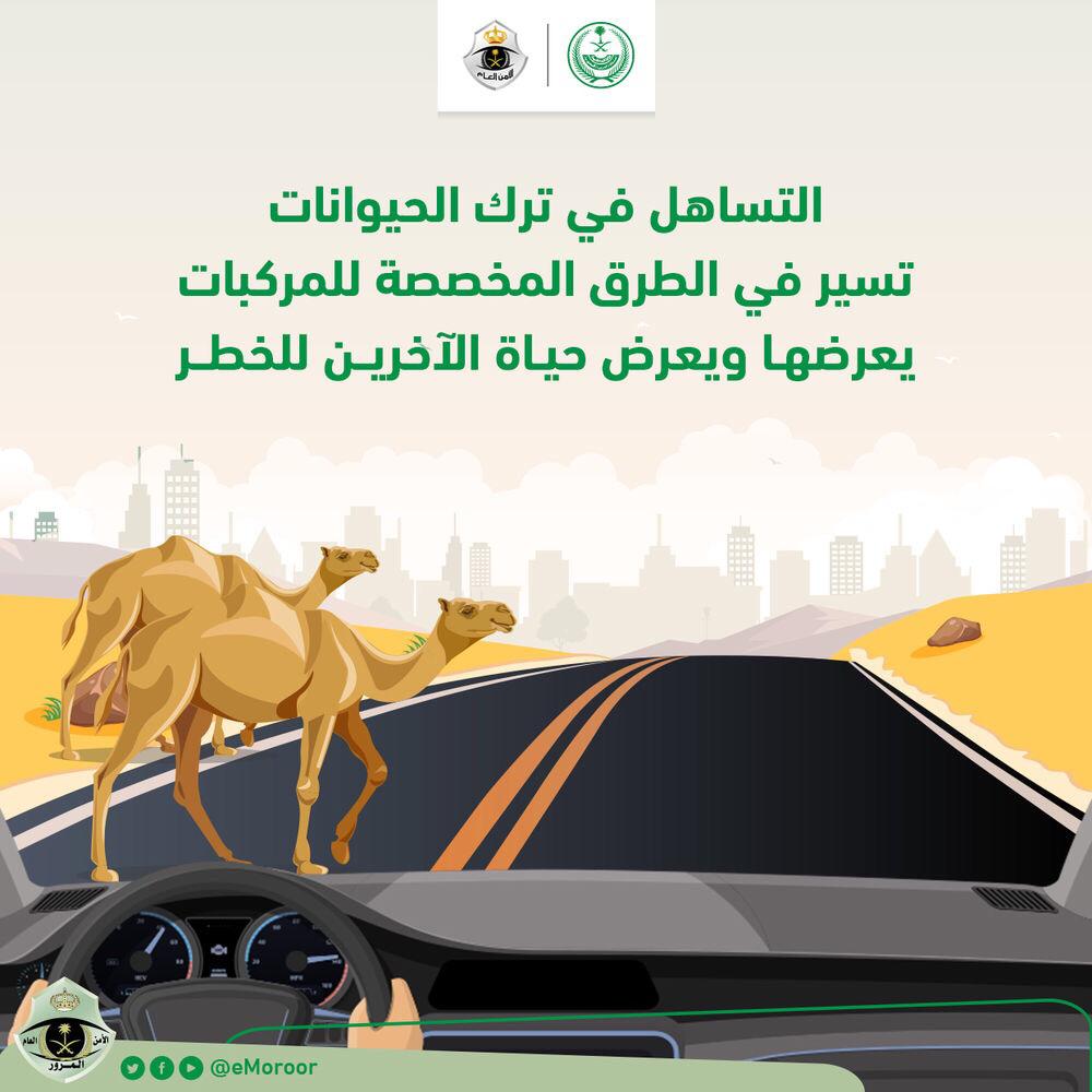 eMoroor's tweet photo. سماح أصحاب الحيوانات بعبور حيواناتهم من غير الأماكن المخصص لها، أو دون التنسيق مع الجهات المختصة يعد مخالفة مرورية. 

#هدفنا_سلامتكم
#المرور_السعودي https://t.co/c1AQiM0OOQ