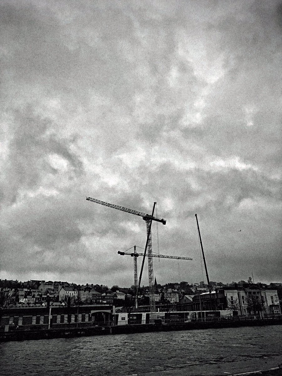 IdahoNua's tweet photo. It's all about the Cranes in Cork... https://t.co/ziVps0YJXe