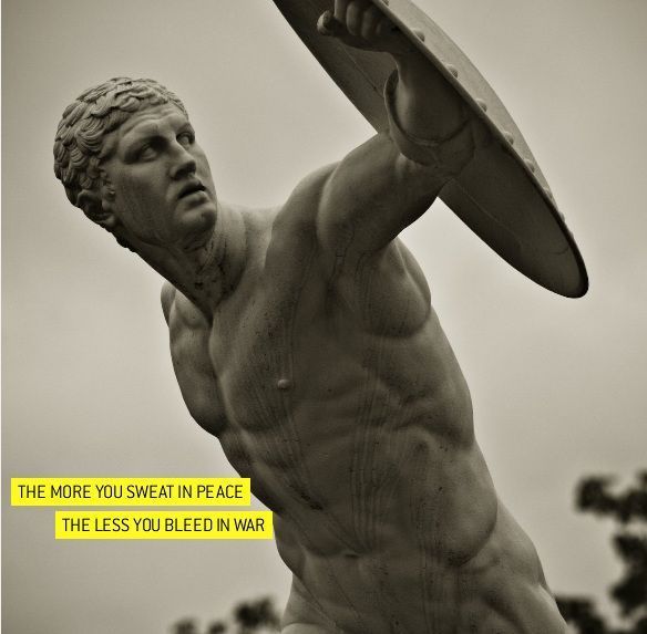 Everything Fitness tweet media