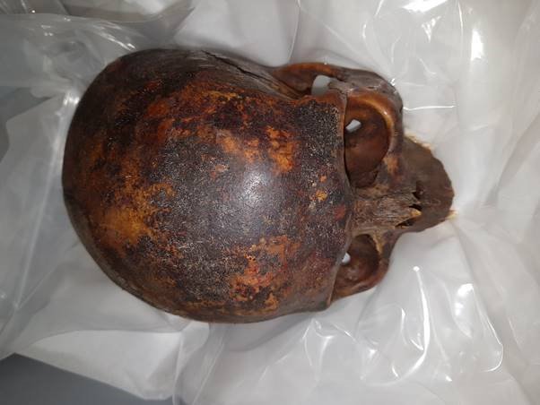 Gardaí have recovered the head of "The Crusader" and another skull taken from a crypt in St. Michan’s church over the weekend of 23rd/25th February.  We would like to thank the public for their help.  The investigation in ongoing
