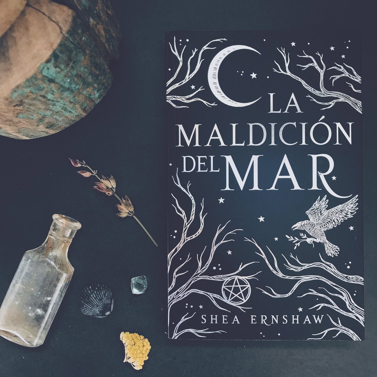 SheaErnshaw's tweet photo. G I V E A W A Y ! ! ! 🎉
I’m giving away a signed Spanish edition of THE WICKED DEEP! ✨🌲❄️🌙 Follow + RT! 
Open International. Ends 3/11. 
Two chances to win by heading over to IG! 🖤🖤🖤 #YAlit #bookgiveaway https://t.co/wV74DjIsLK https://t.co/4r8EKIiQLu