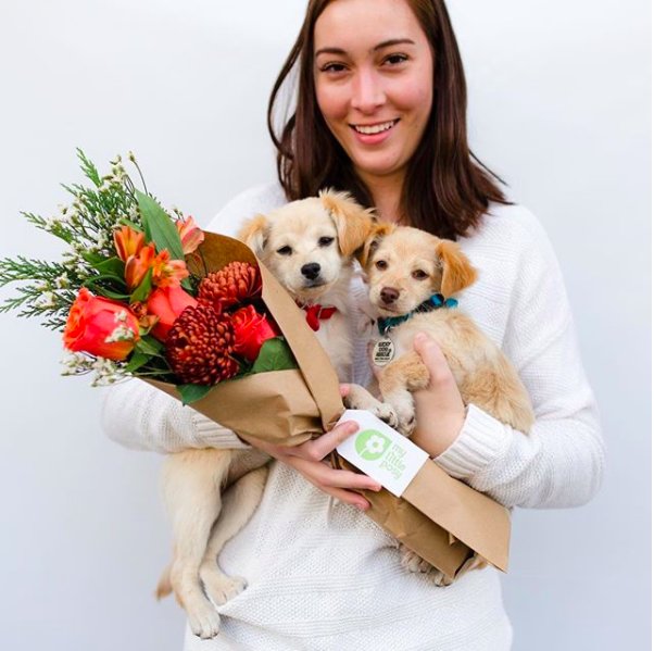 YelpSB's tweet image. Meet the queen of flower power, who wants to make people happy, one flower at a time. As part of our #WomensHistoryMonth celebration, we talked to Nezza of @My_Little_Posy to hear more about her journey toward being the self-appointed Chief Flower Officer of Arizona.
📷: Nezza R
