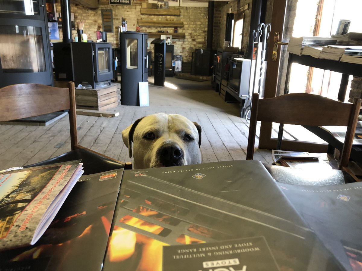 _stovefireplace's tweet photo. Ernie patiently waiting for the burners to go live this morning. https://t.co/0J1oGMgosd