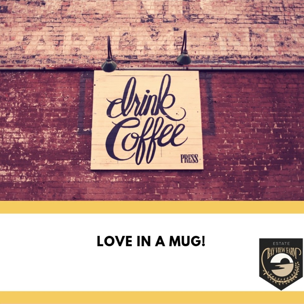 BayViewCoffee's tweet photo. Feeling #tired 😪 in the first work days of the #week? 🗣"Life is like a #cup of #coffee... It's all  in how you make it, or take it 🤩" - An inspirational Story 📔

Remember to have a nice day 😍 and #Drinkcoffee ☕! . https://t.co/2USK9Itqvm