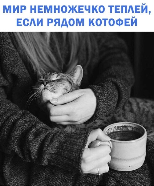 ☆Цитаты.Мысли.Шутки☆ (@izbrannoye) on Twitter photo 