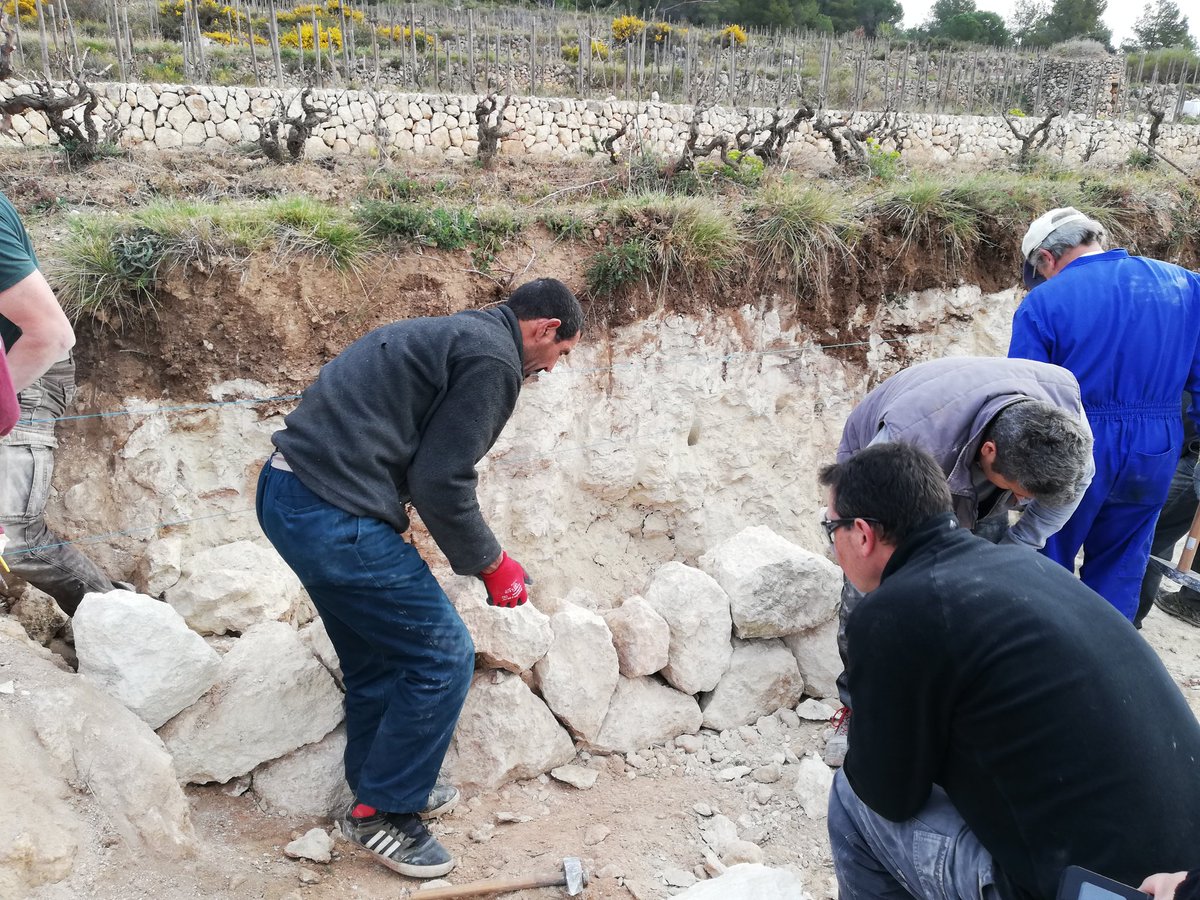 RafolsdelsCaus's tweet photo. Últim dia de l' #experienciapenedes
El treball de la pedra seca a la finca #ElFanio d'@AlbetiNoya mostra que la @dopenedes neix de l'esforç per mantenir una cultura i un patrimoni https://t.co/hSRhSyp7b5