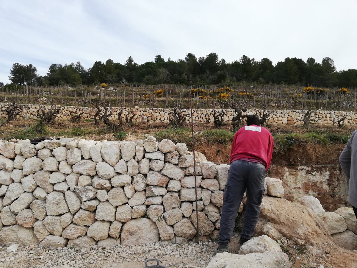 RafolsdelsCaus's tweet photo. Últim dia de l' #experienciapenedes
El treball de la pedra seca a la finca #ElFanio d'@AlbetiNoya mostra que la @dopenedes neix de l'esforç per mantenir una cultura i un patrimoni https://t.co/hSRhSyp7b5