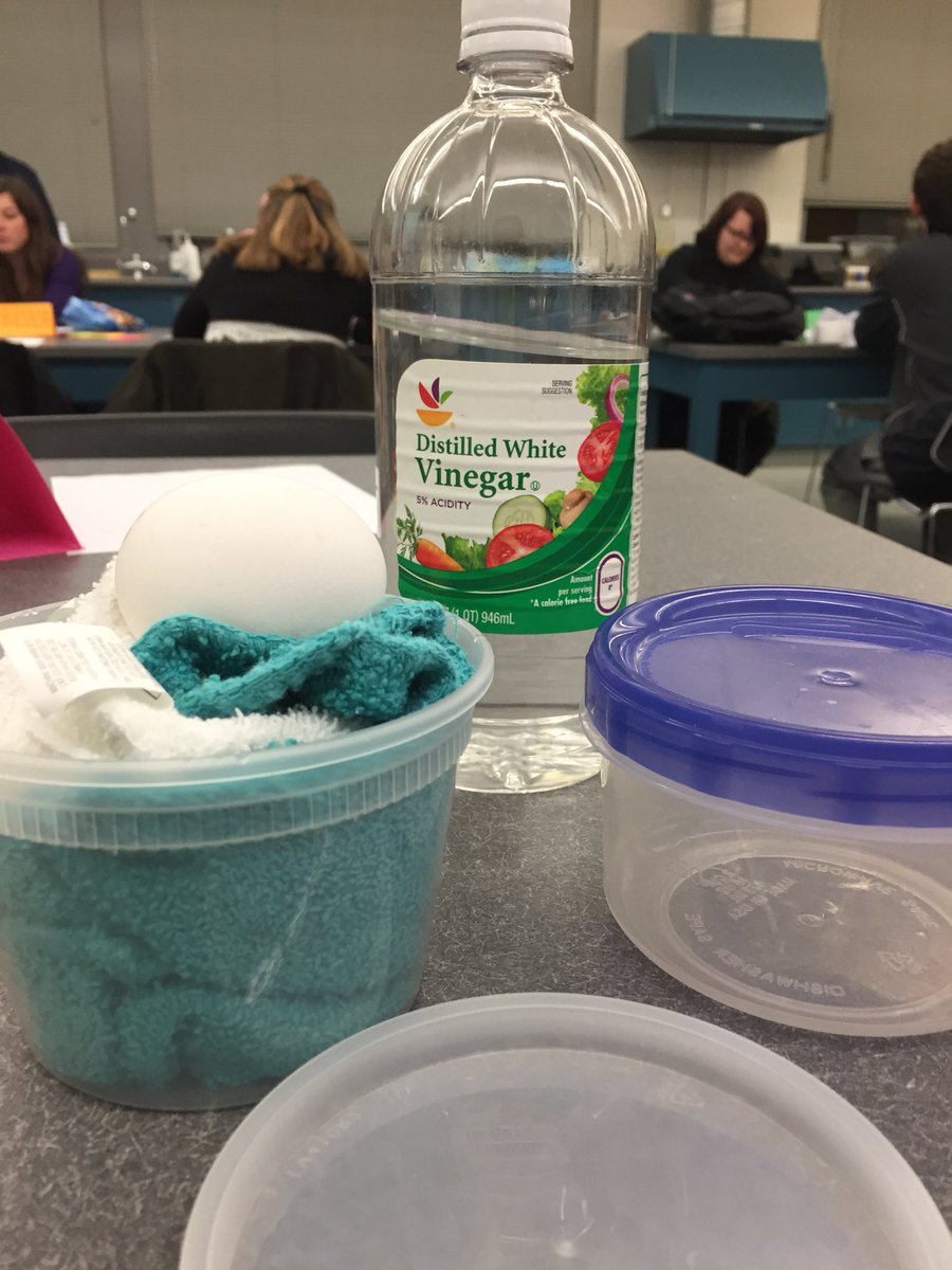 Had a fun time showing my fellow classmates a quick demo on weathering. All you need is an egg and vinegar