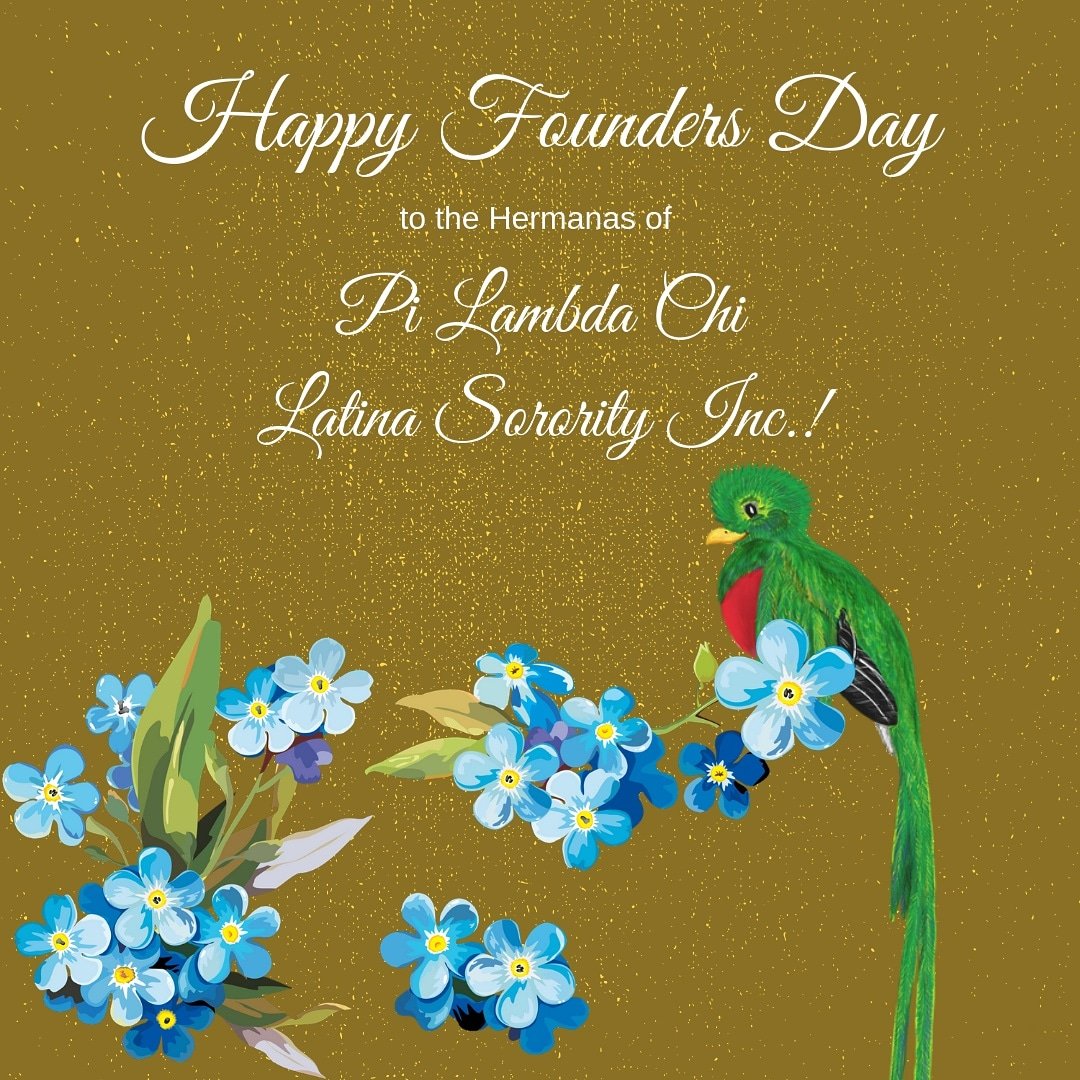 Texas Stargazers tweet media